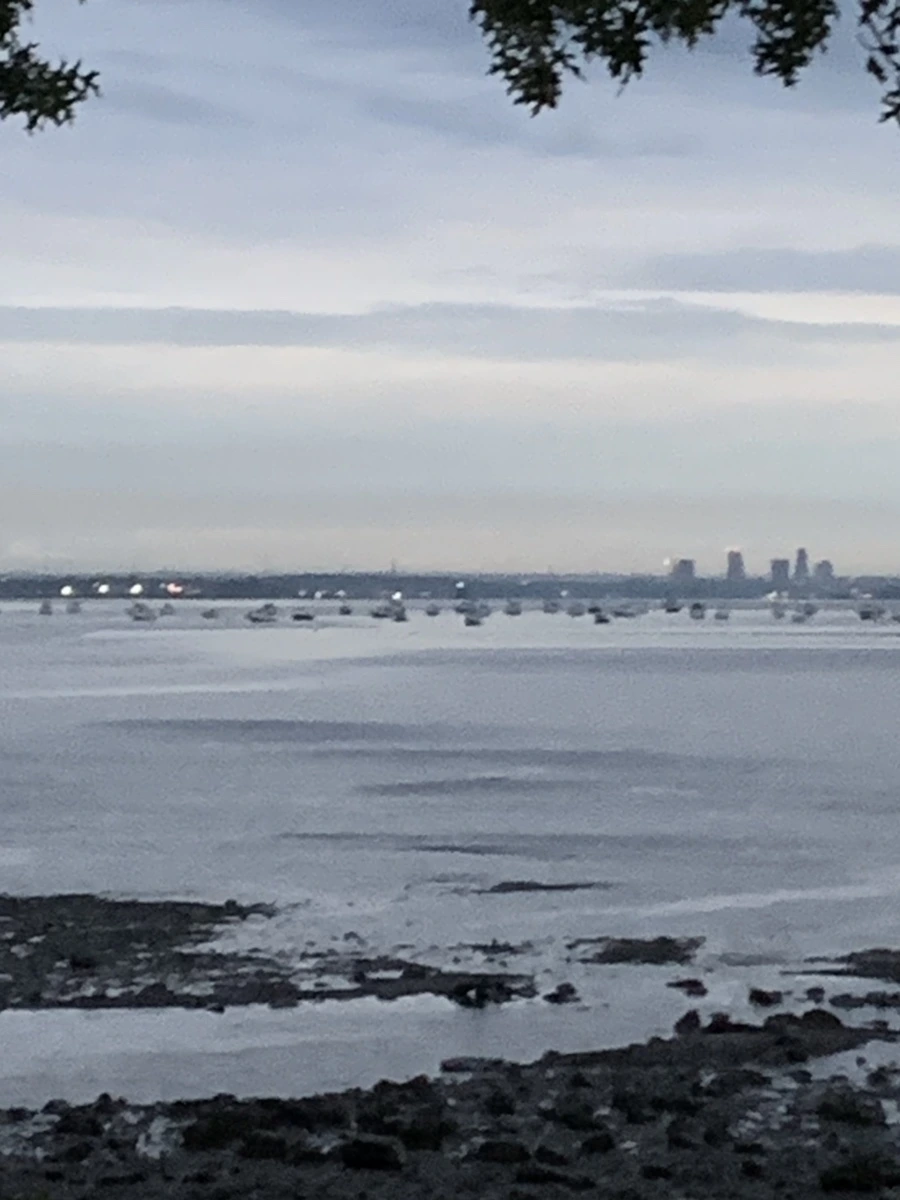 IMG_9208.jpg?type=w966