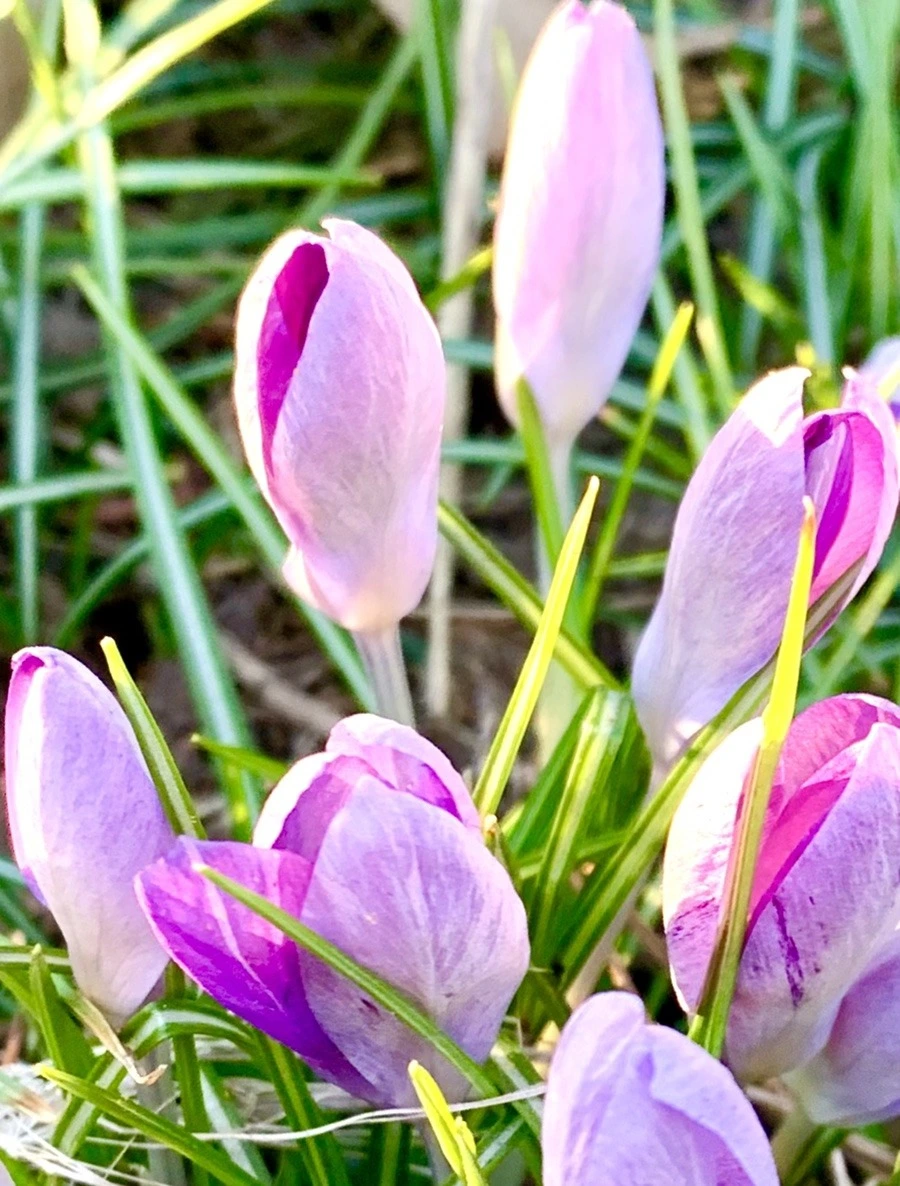 jZVBYPM79_qI50WCeyFf-m5Z7cQ