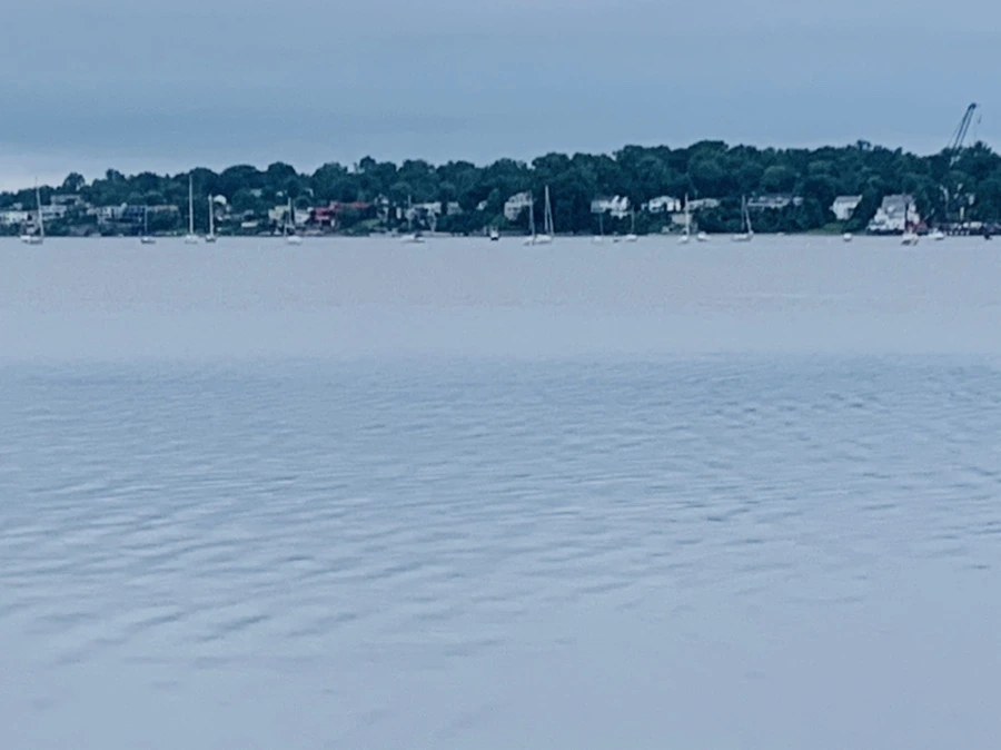 IMG_6951.jpg?type=w966