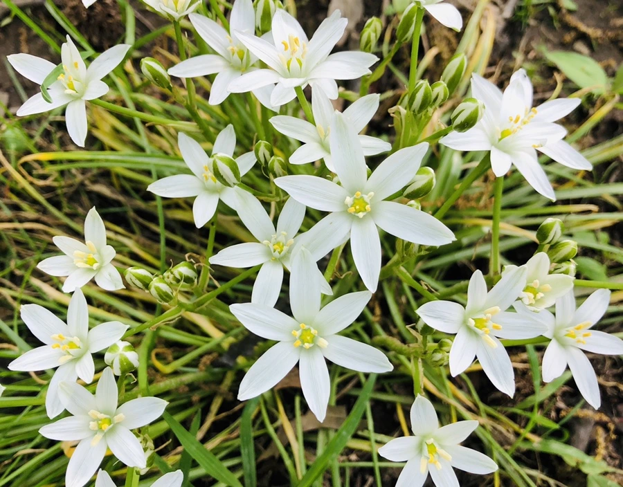 IMG_4696.jpg?type=w966