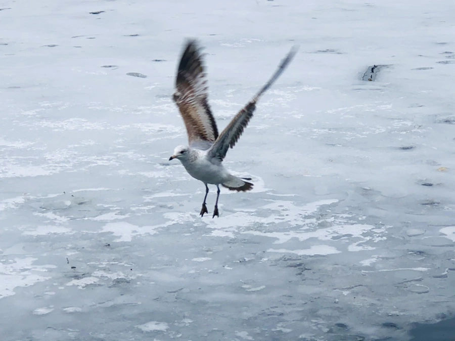 IMG_6273.jpg?type=w966