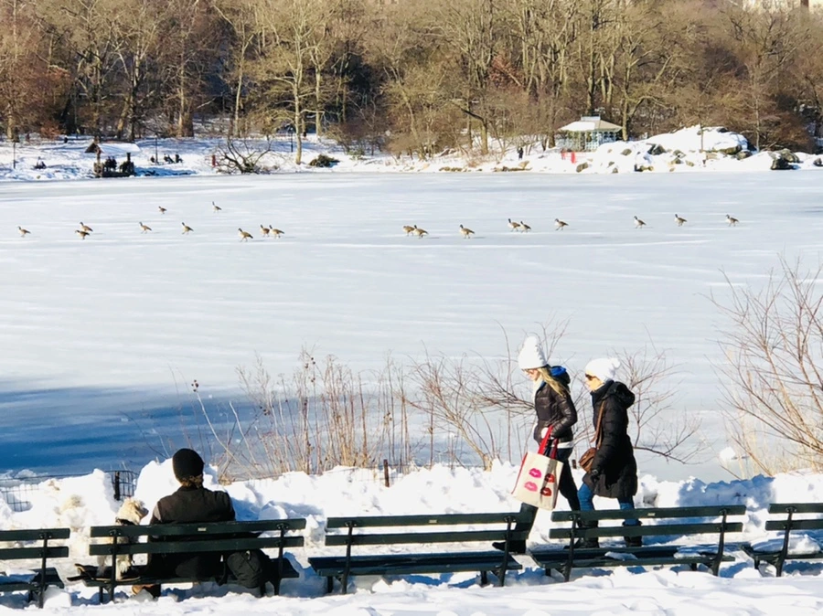 IMG_9821.jpg?type=w966