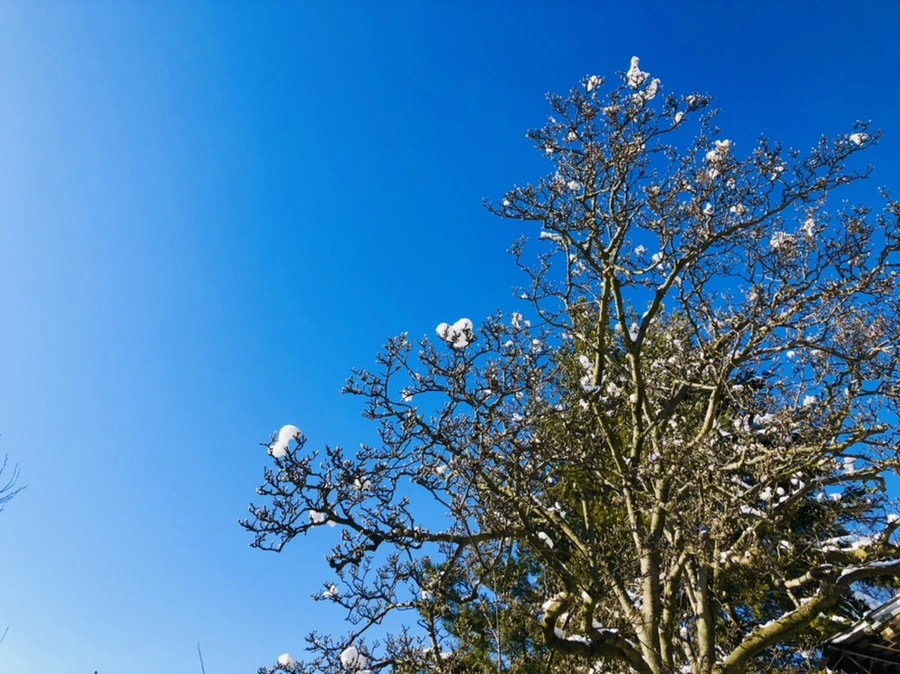 IMG_1395.jpg?type=w966