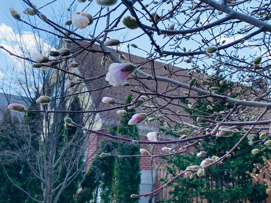 IMG_4346.jpg?type=w966