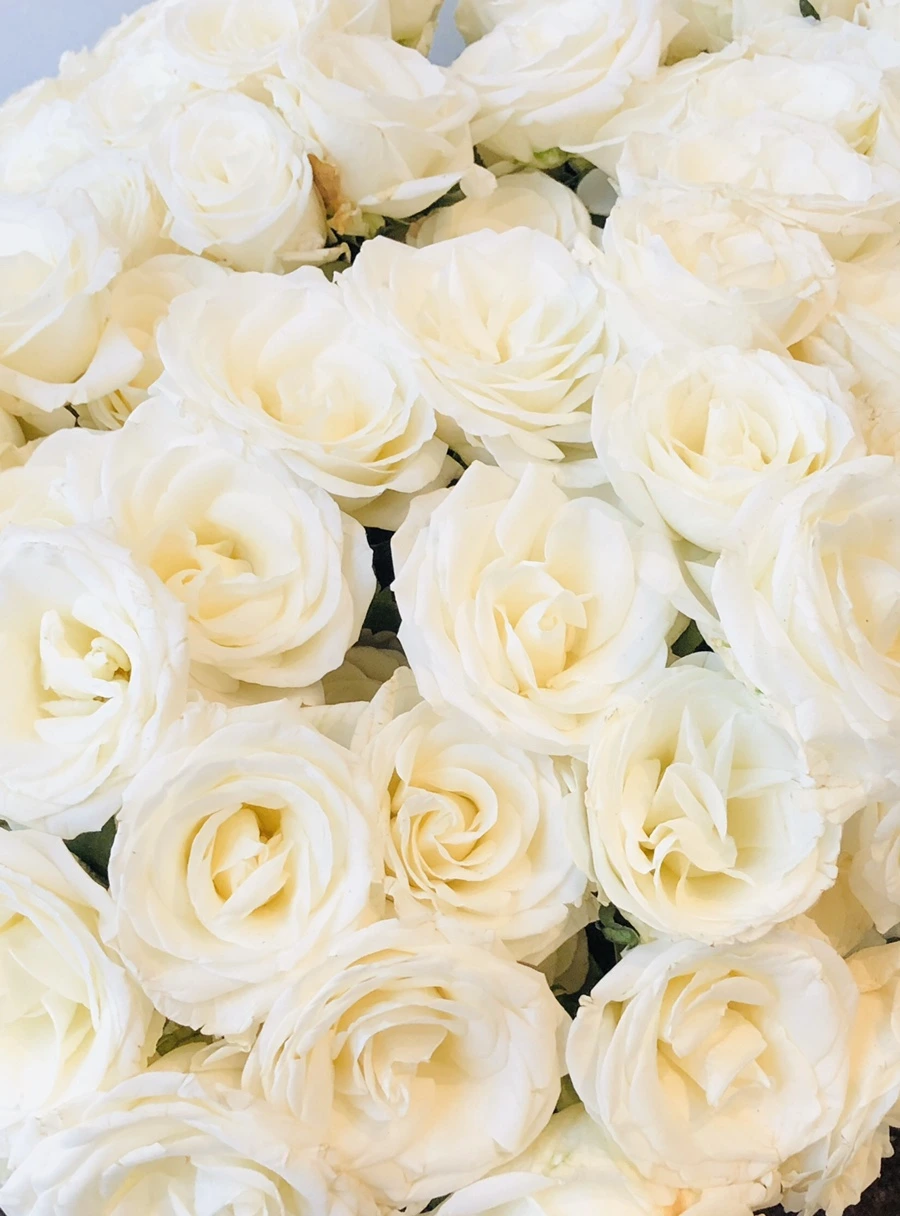 IMG_5585.jpg?type=w966