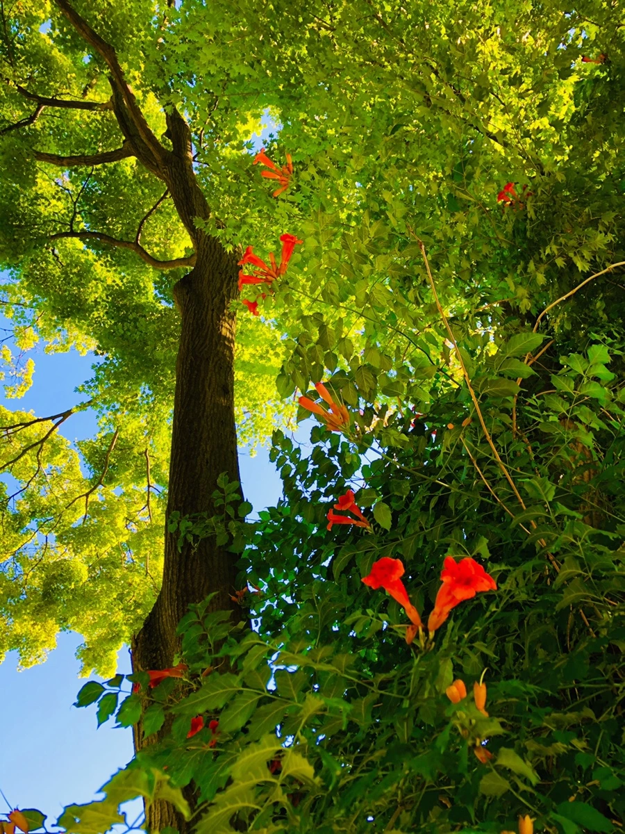 IMG_2762.jpg?type=w966