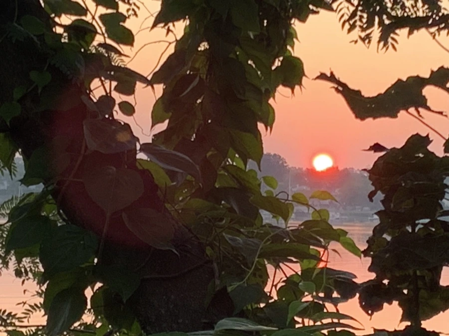 IMG_4397.jpg?type=w966