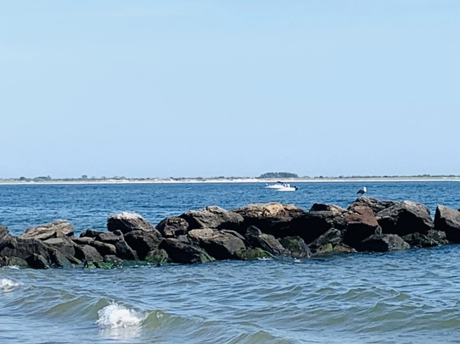 IMG_1066.jpg?type=w966