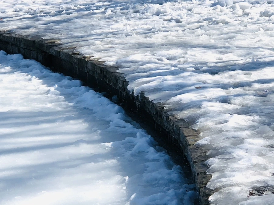 IMG_2980.jpg?type=w966