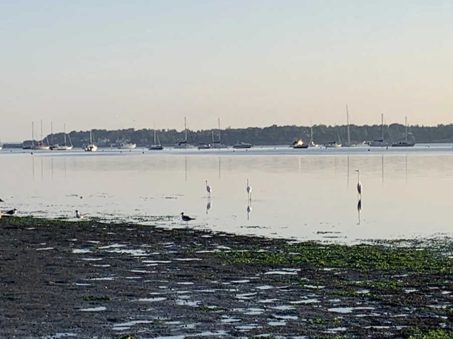 IMG_0382.jpg?type=w966