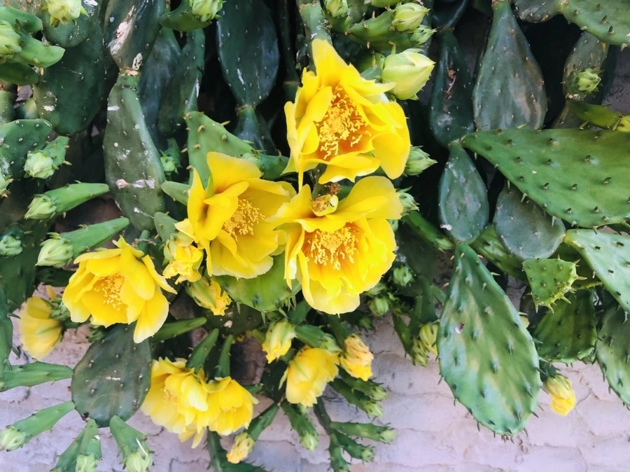 PTrydU0zGzQ9gU_nAgAUyjU8NwM