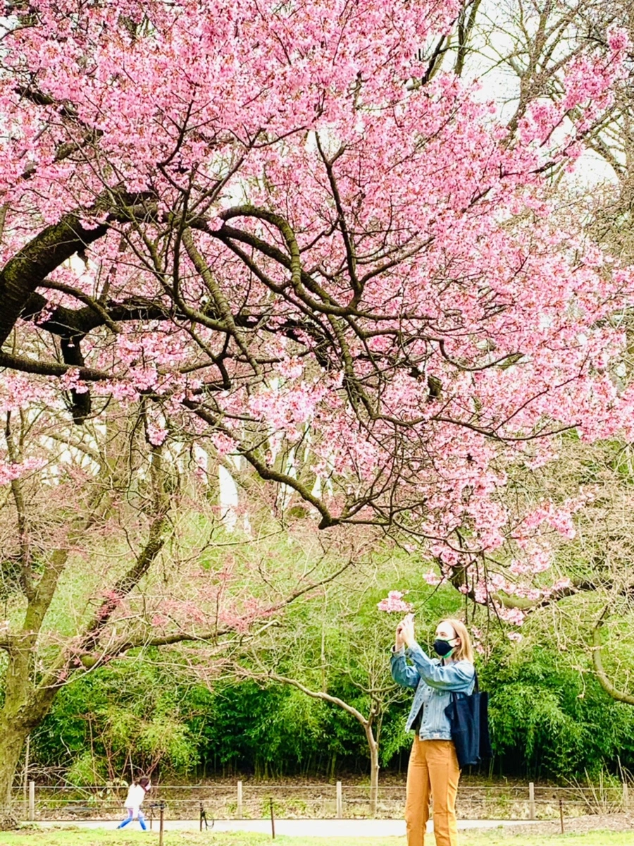 IMG_7050.jpg?type=w966