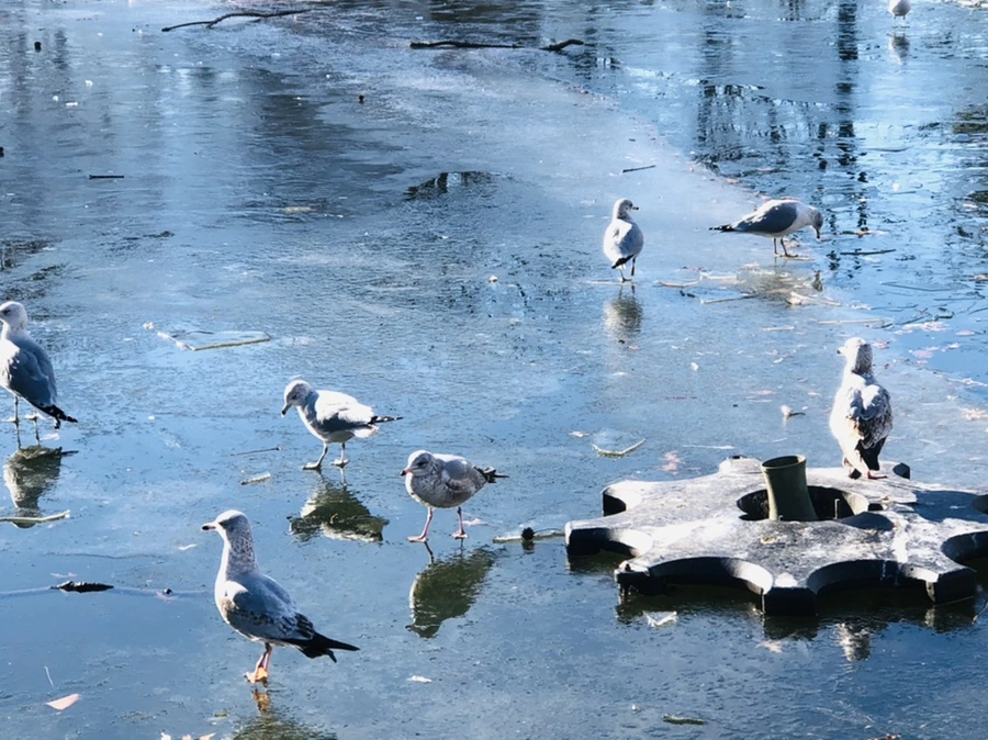 IMG_1857.jpg?type=w966