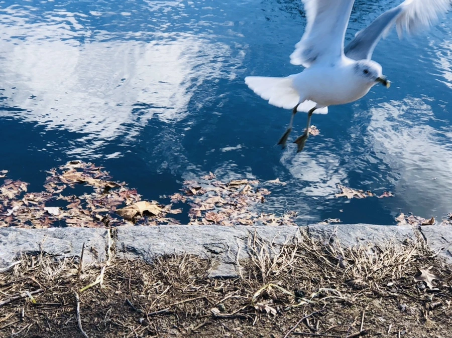 IMG_7614.jpg?type=w966