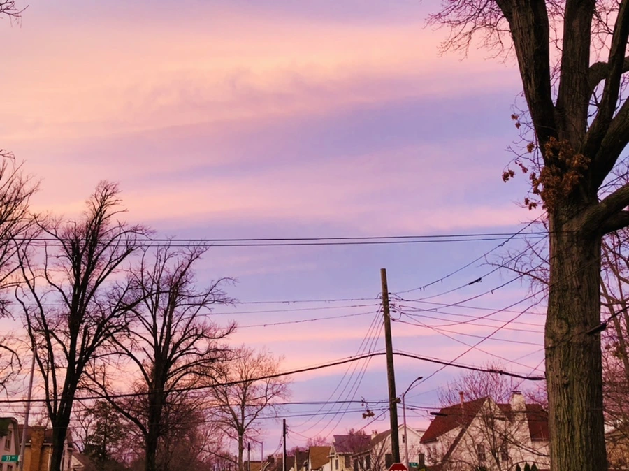 IMG_8242.jpg?type=w966