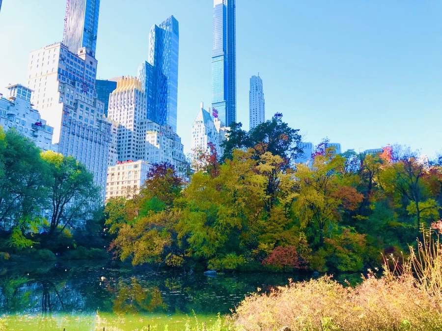 IMG_3768.jpg?type=w966