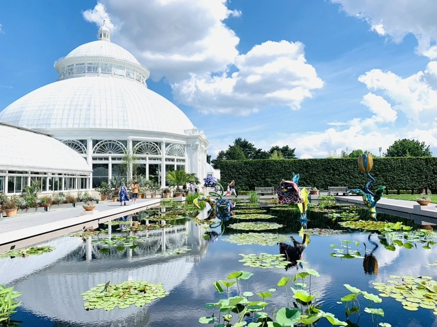 -gmYjuO532zvySM3-eU24N12Xyw