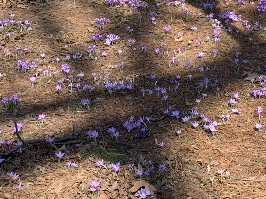 IMG_9728.jpg?type=w966