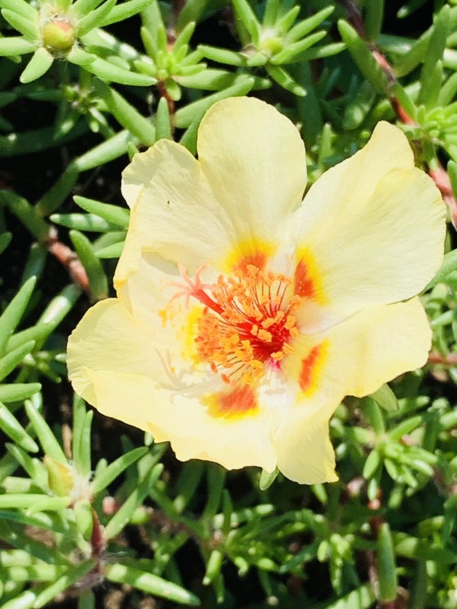 IMG_8389.jpg?type=w966