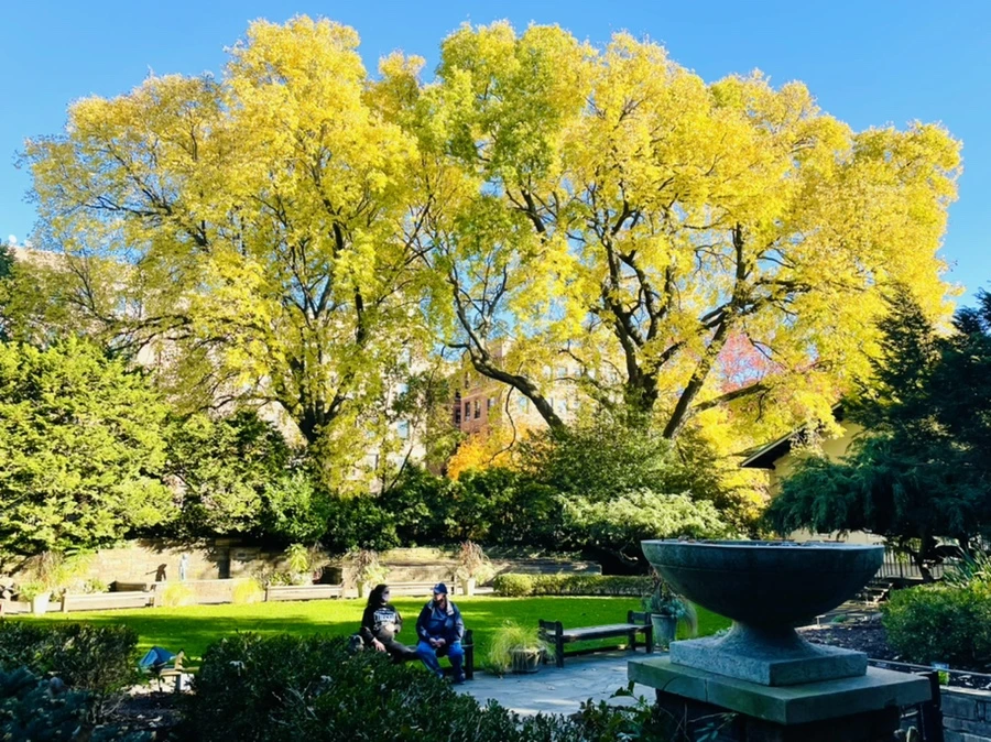 IMG_2072.jpg?type=w966