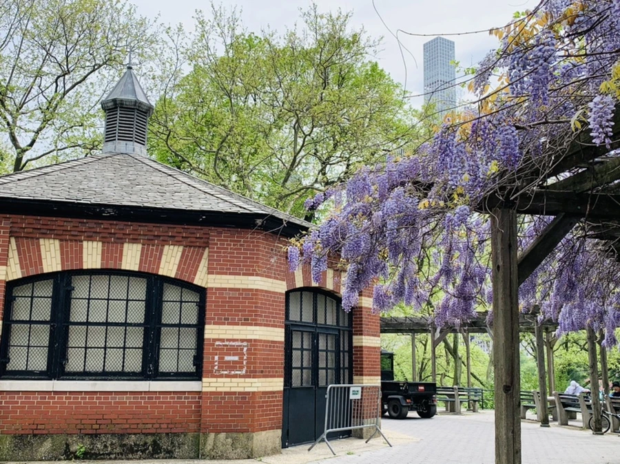 IMG_8766.jpg?type=w966