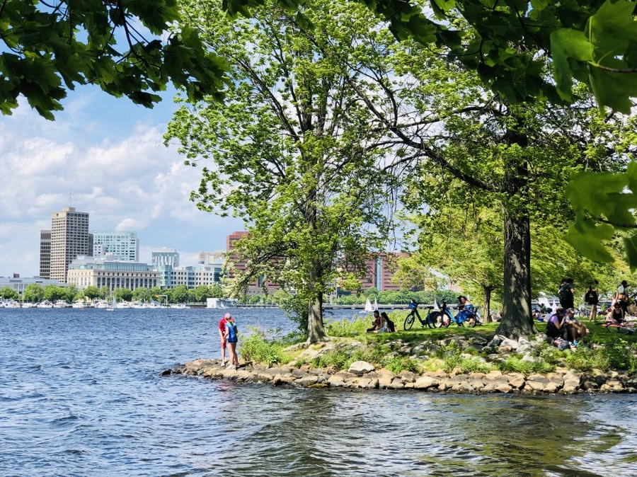 IMG_5230.jpg?type=w966