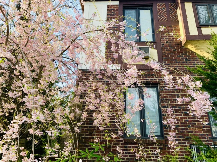 IMG_3773.jpg?type=w966