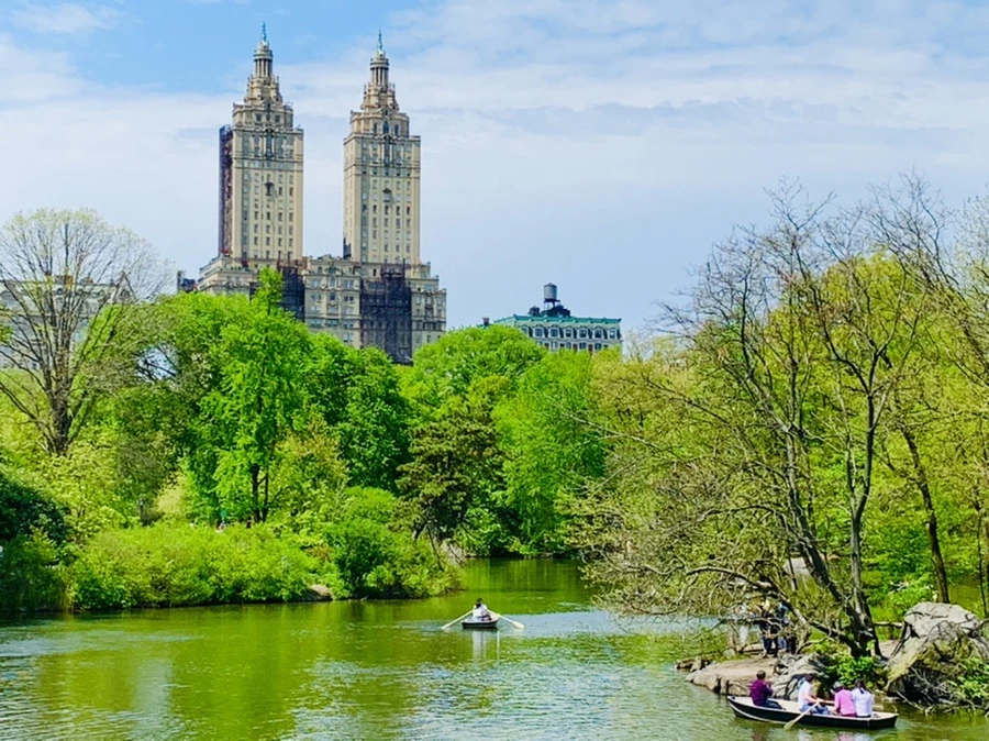 IMG_8824.jpg?type=w966