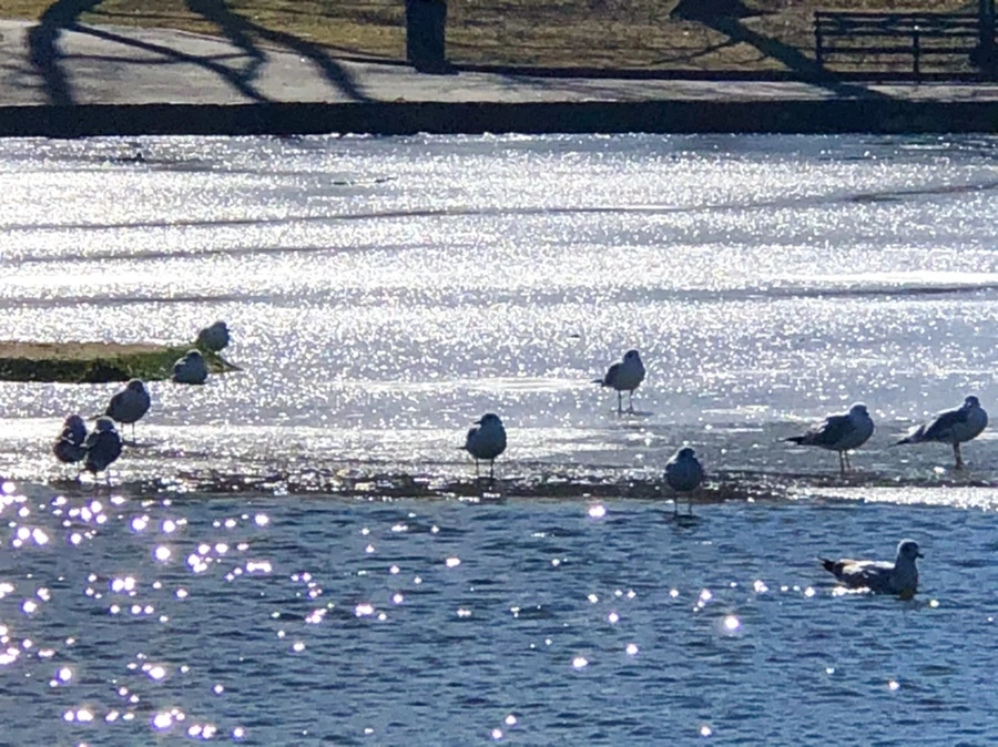 IMG_6695.jpg?type=w966