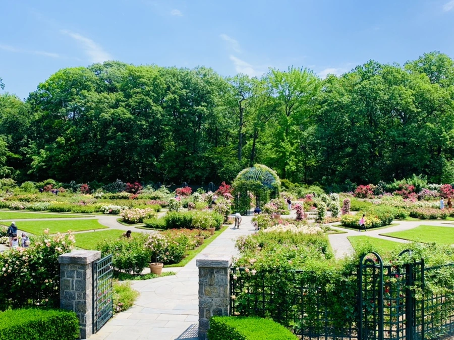 IMG_8452.jpg?type=w966