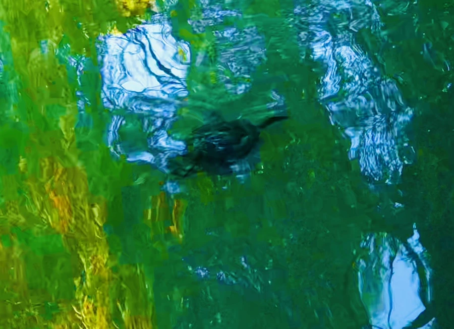 IMG_2589.jpg?type=w966