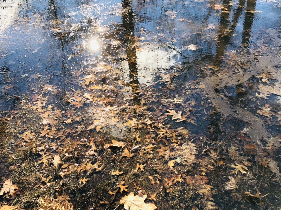 IMG_9219.jpg?type=w966