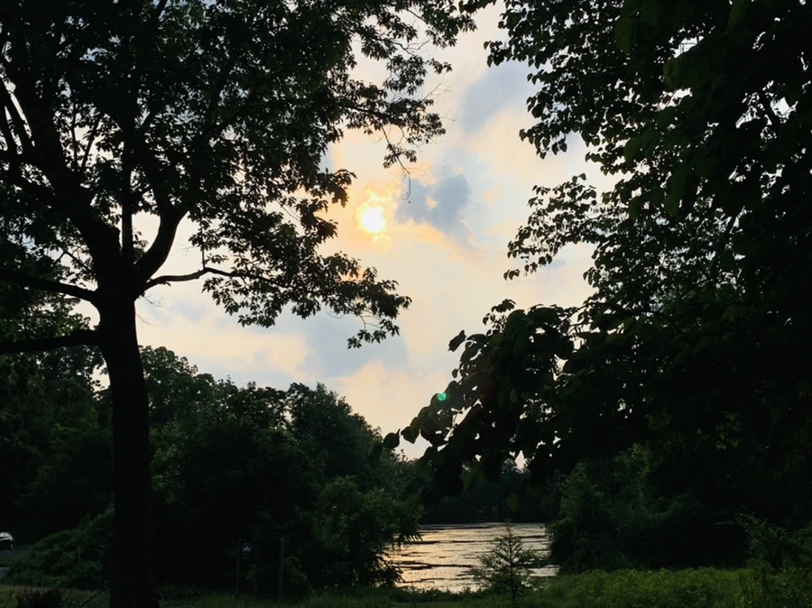 IMG_1467.jpg?type=w966