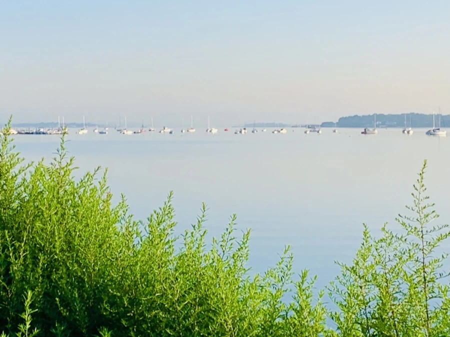 IMG_7435.jpg?type=w966