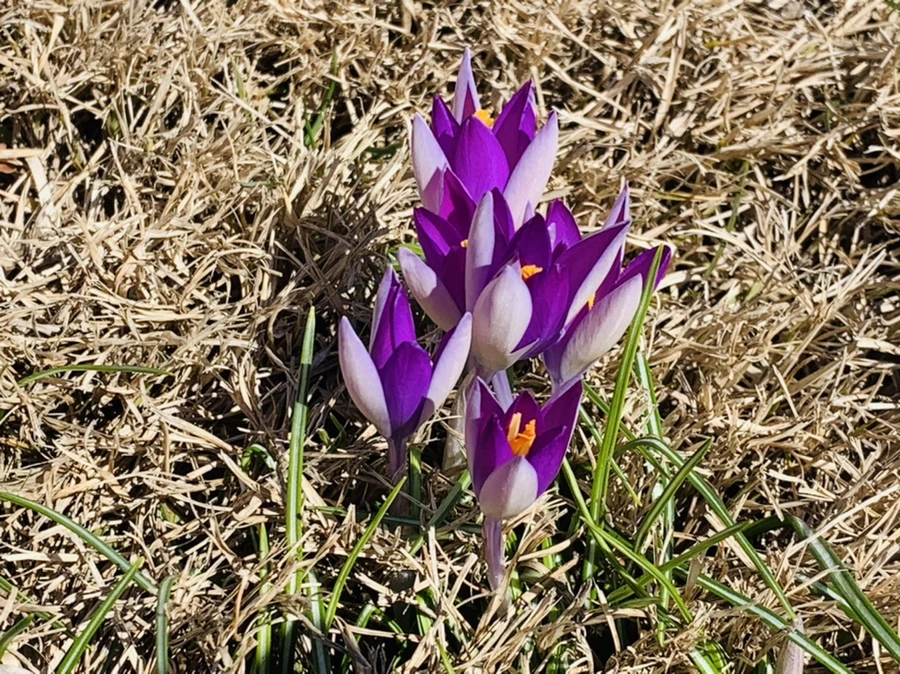 IMG_8237.jpg?type=w966