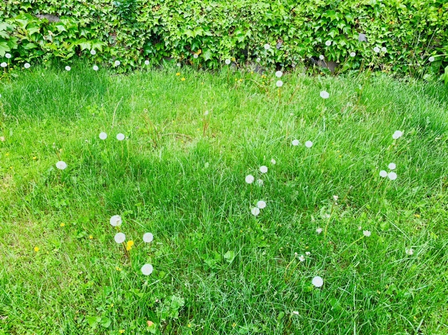 IMG_0657.jpg?type=w966