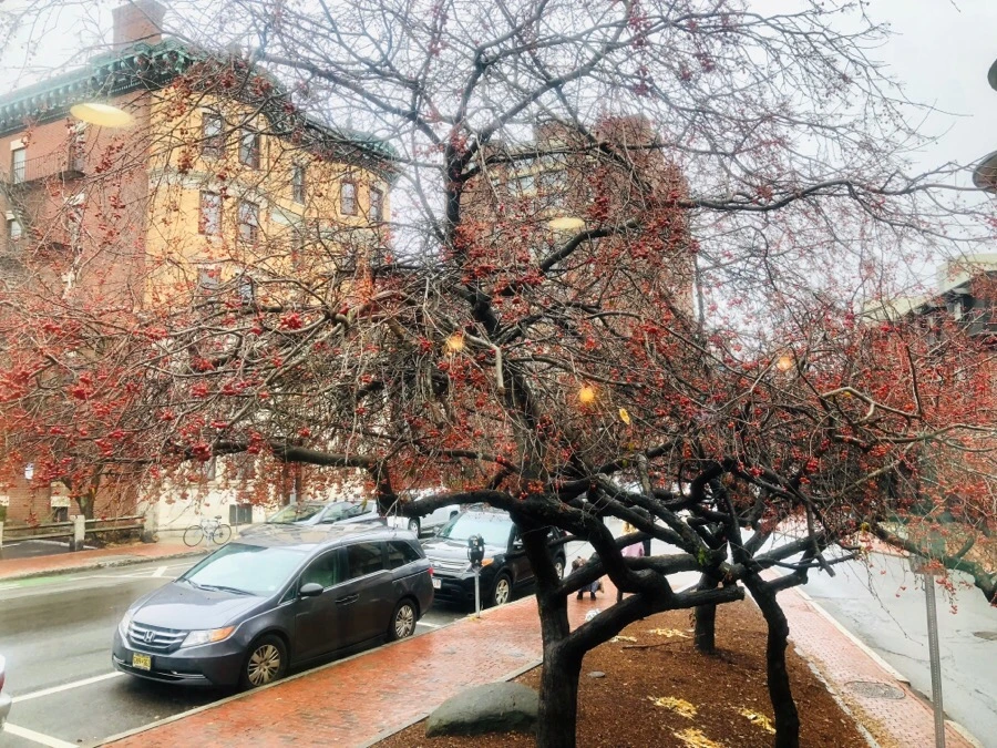 IMG_8098.jpg?type=w966