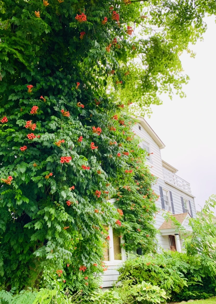 IMG_0026.jpg?type=w966