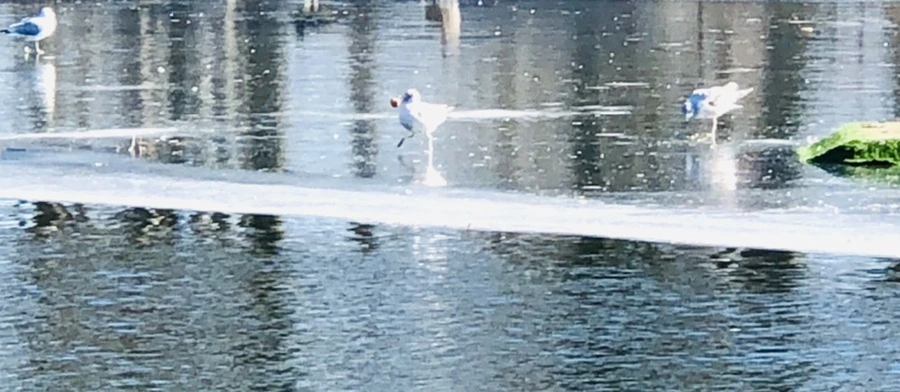 IMG_5592.jpg?type=w966