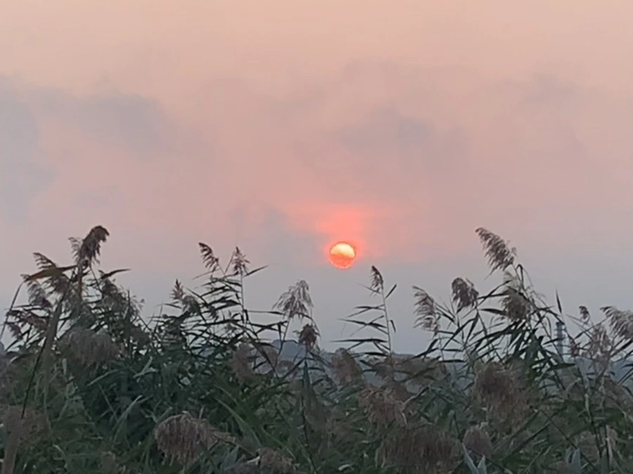 IMG_1092.jpg?type=w966