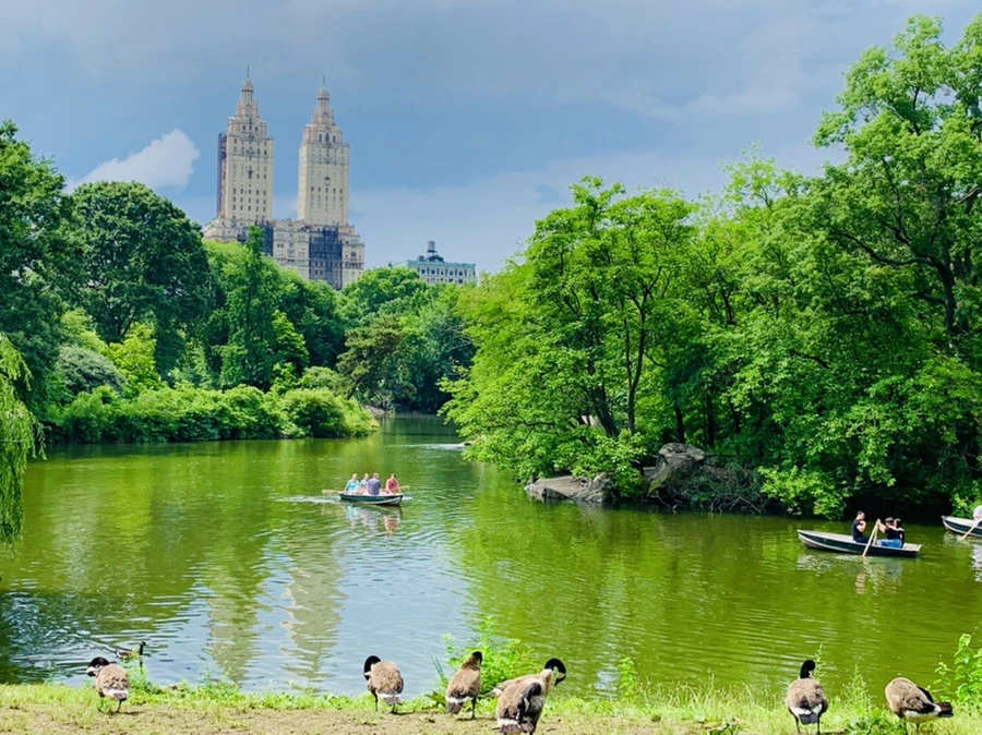 IMG_9891.jpg?type=w966