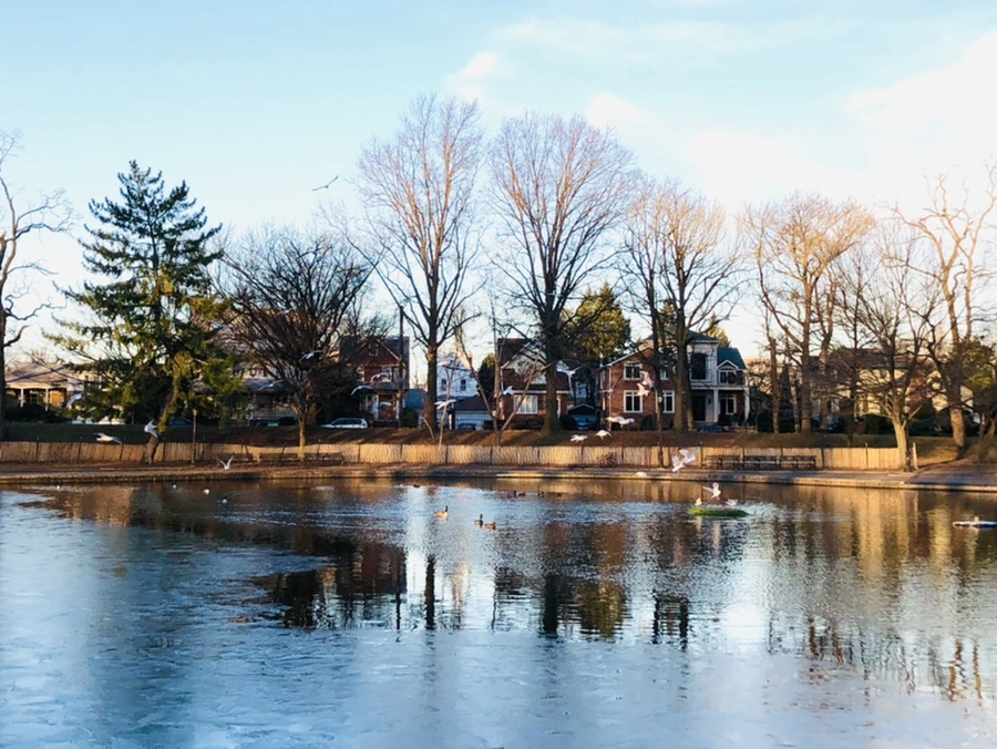 IMG_0781.jpg?type=w966