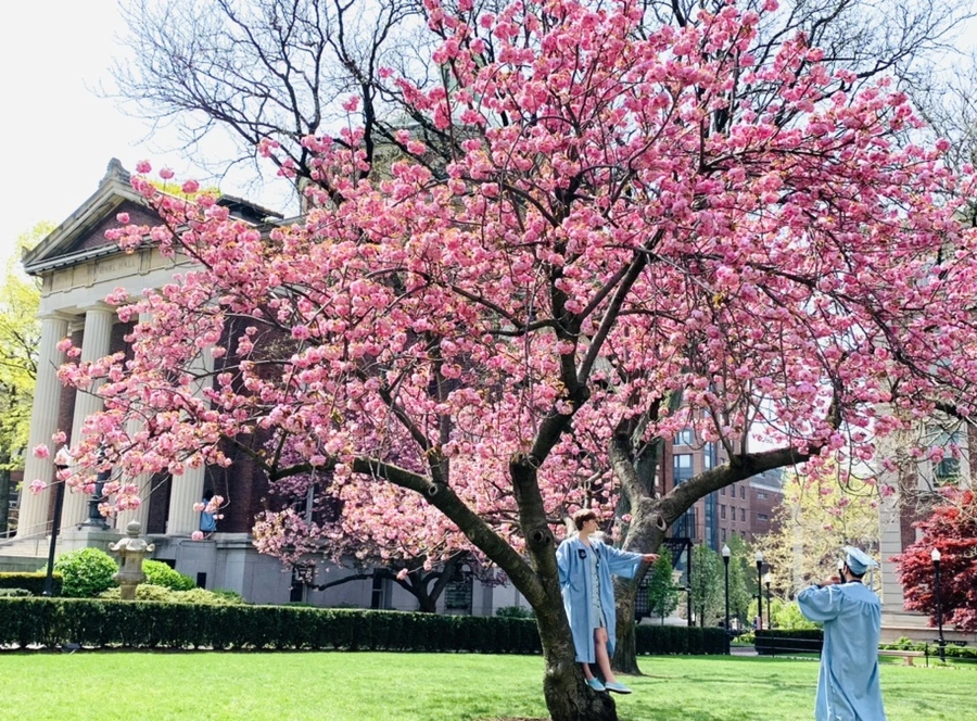 IMG_5088.jpg?type=w966