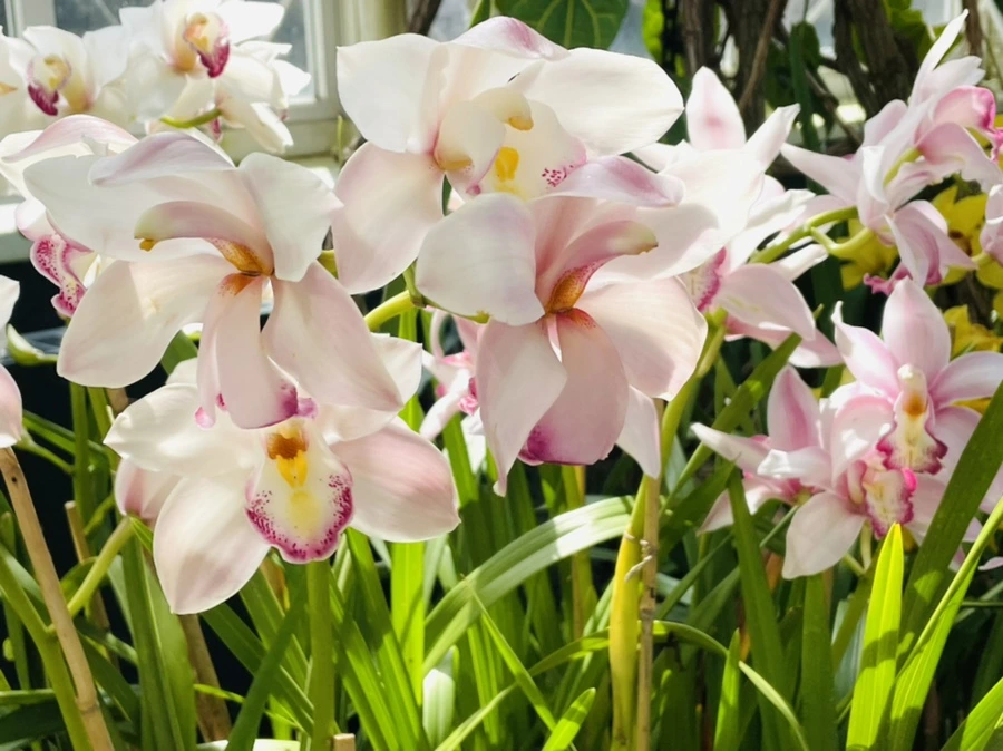 IMG_6422.jpg?type=w966