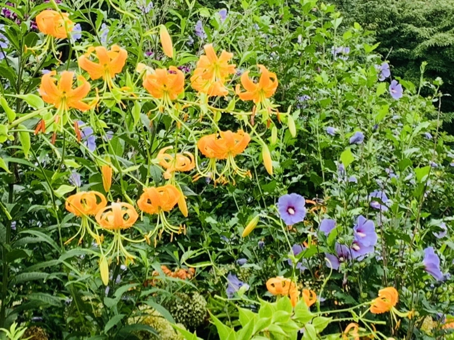 IMG_1119.jpg?type=w966