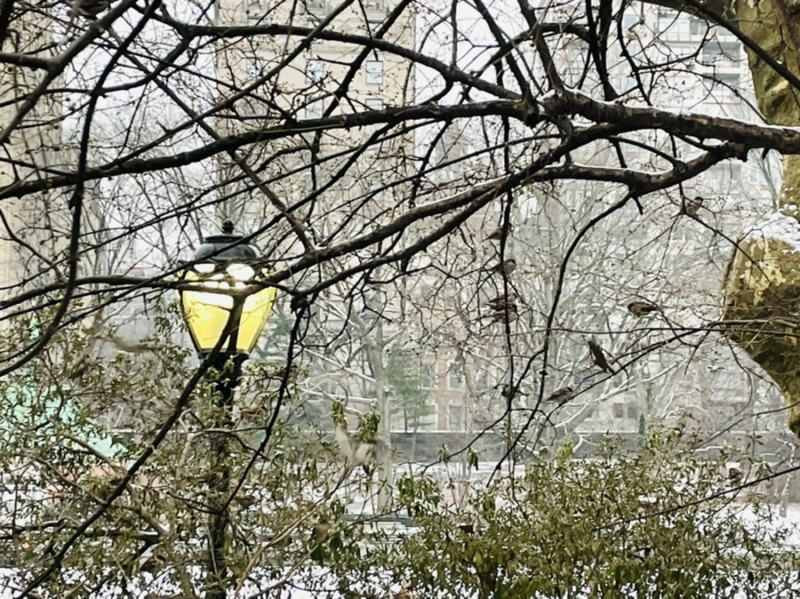 IMG_0767.jpg?type=w966