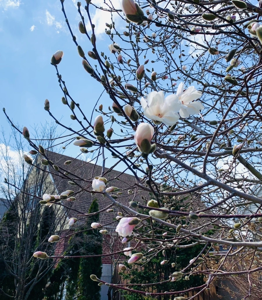 IMG_4344.jpg?type=w966