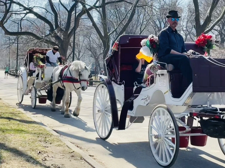 IMG_5516.jpg?type=w966