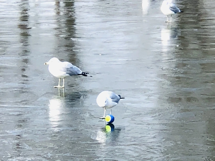 IMG_4682.jpg?type=w966