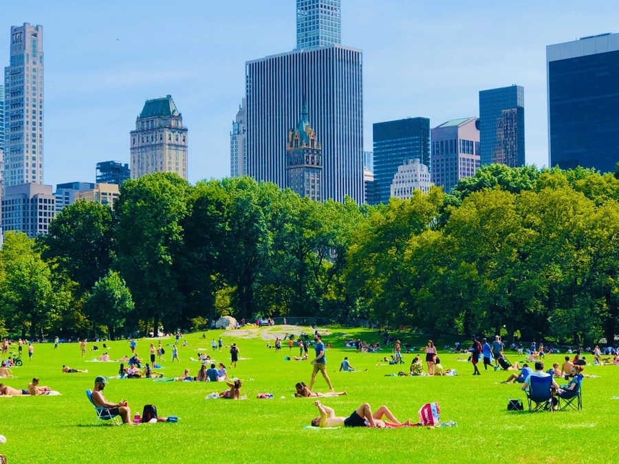 IMG_9551.jpg?type=w966